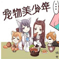 宠物美少年