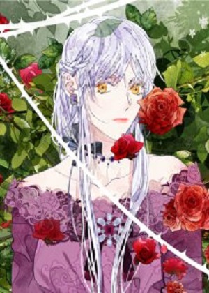 藏于迷宫的时之花